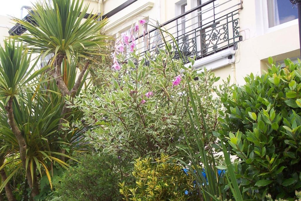 Ashwood Grange Bed & Breakfast Torquay Exterior foto